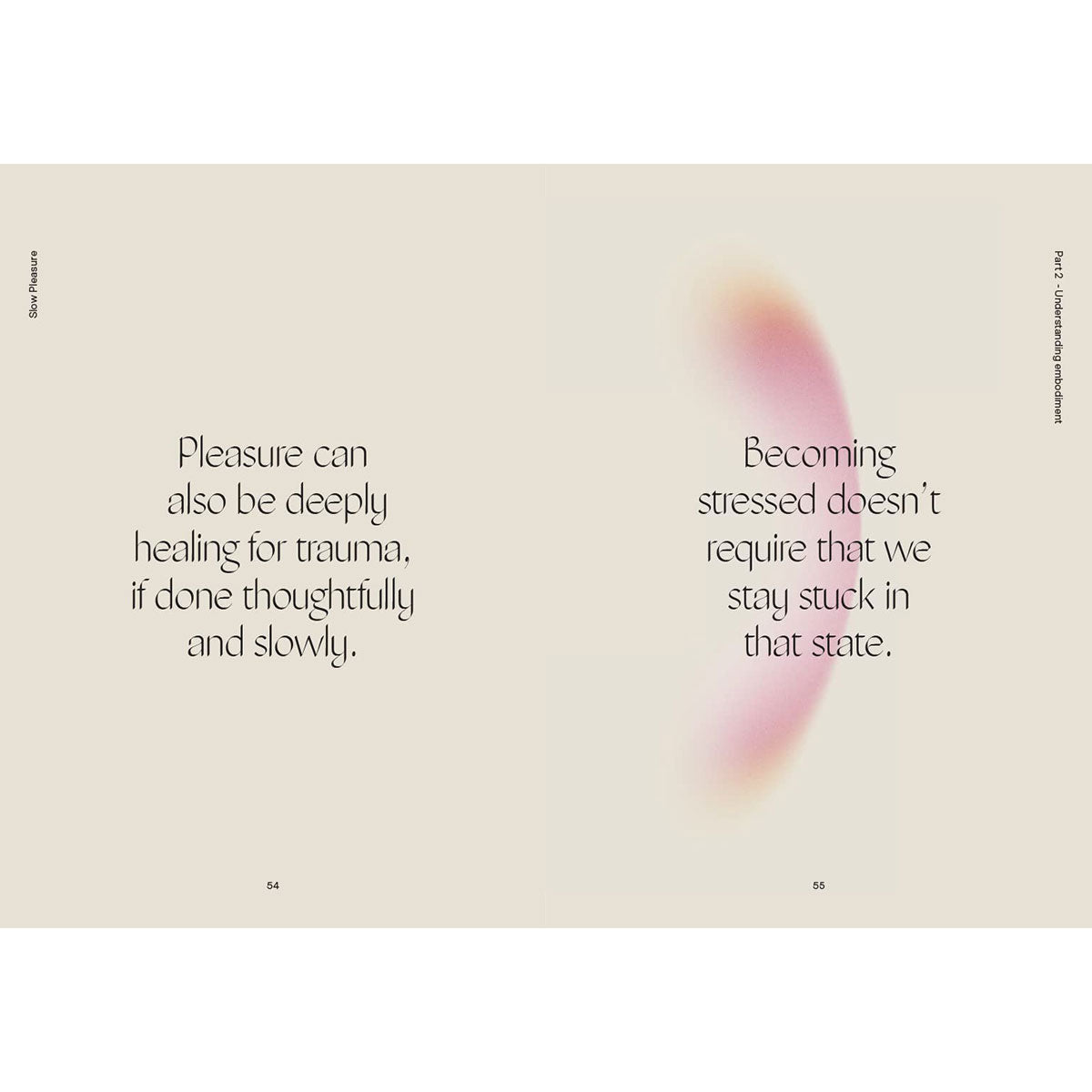 Intimates Adult Boutique