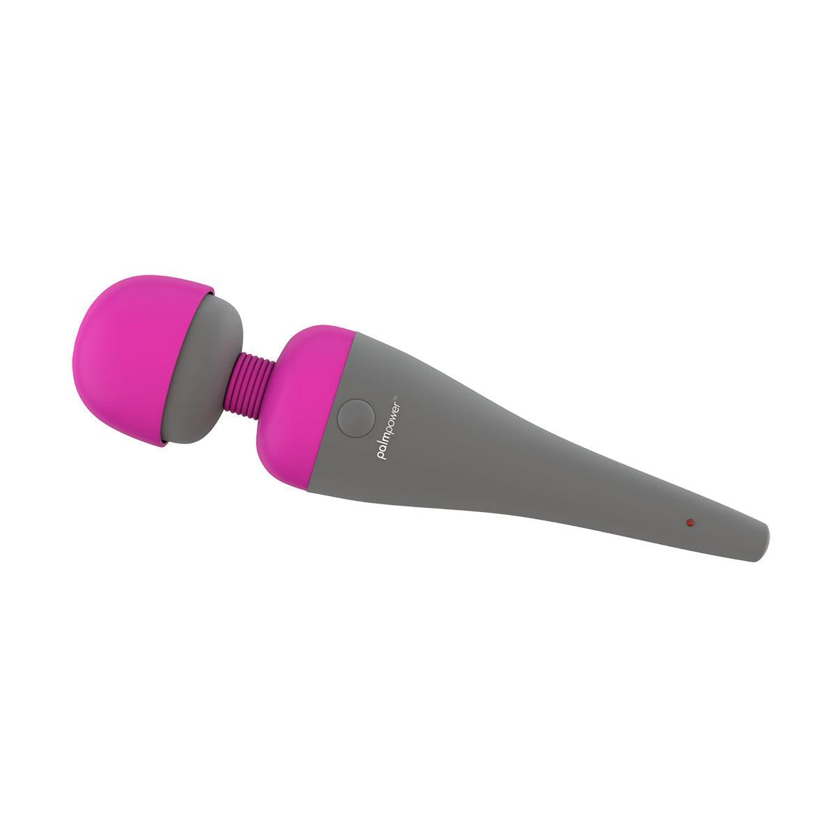 PalmPower Massager Intimates Adult Boutique