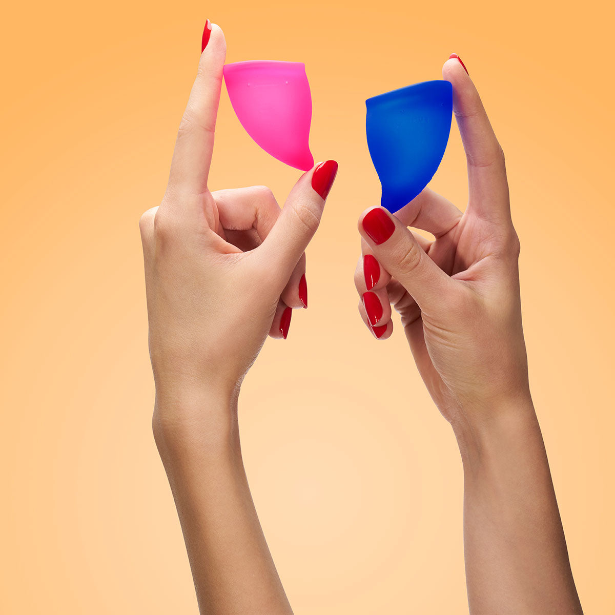 Intimates Adult Boutique