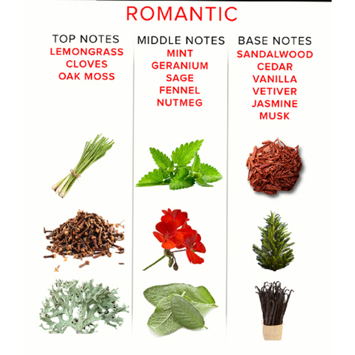 Intimates Adult Boutique