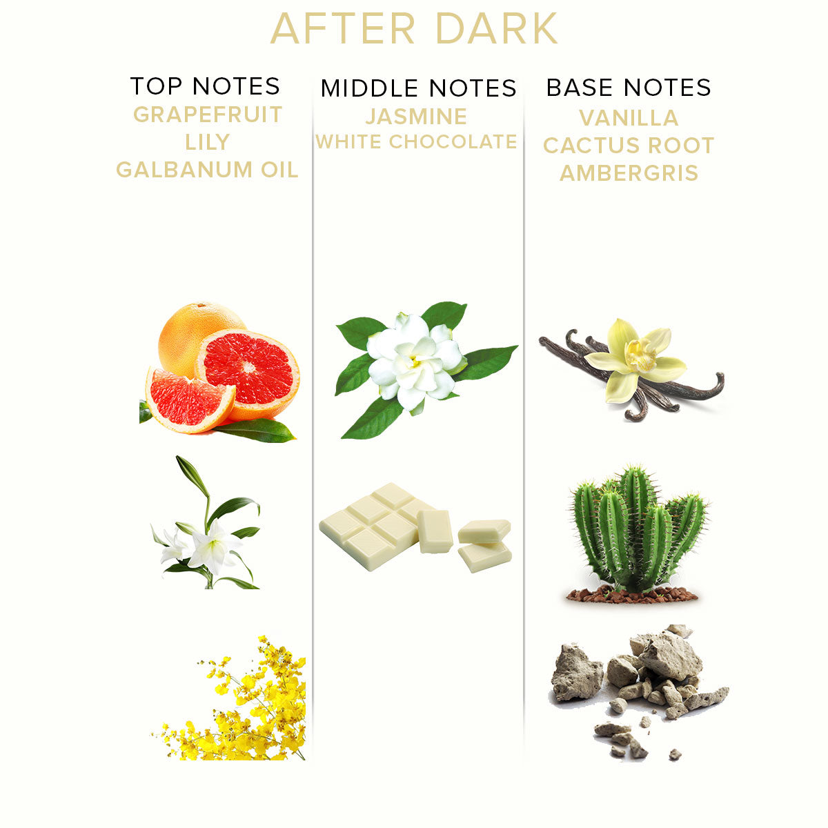 Intimates Adult Boutique