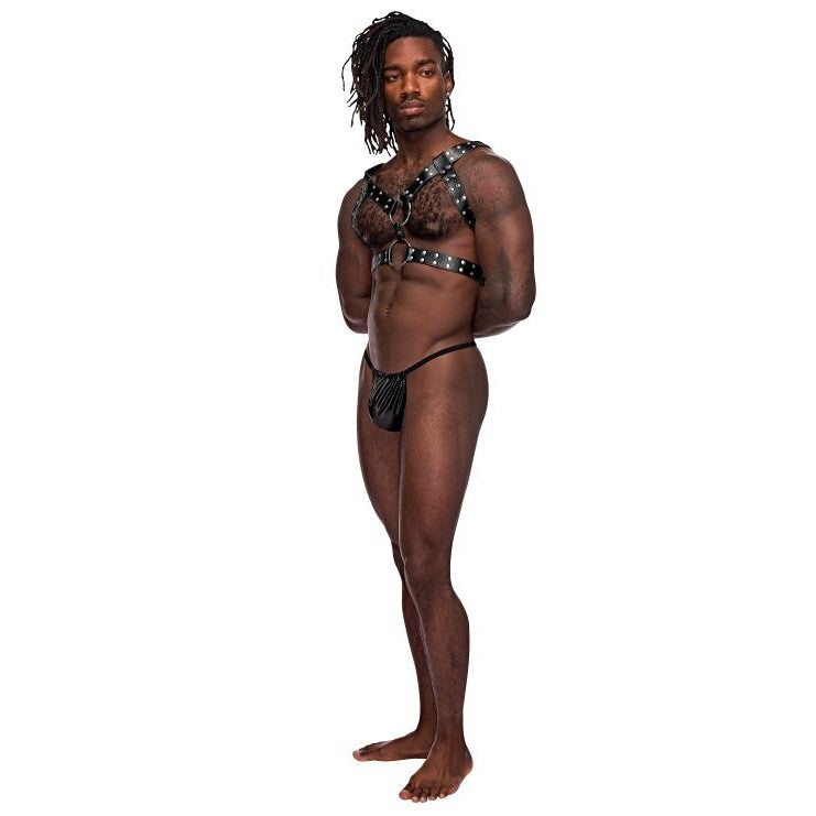 Gemini Leather Harness Black O-s Intimates Adult Boutique