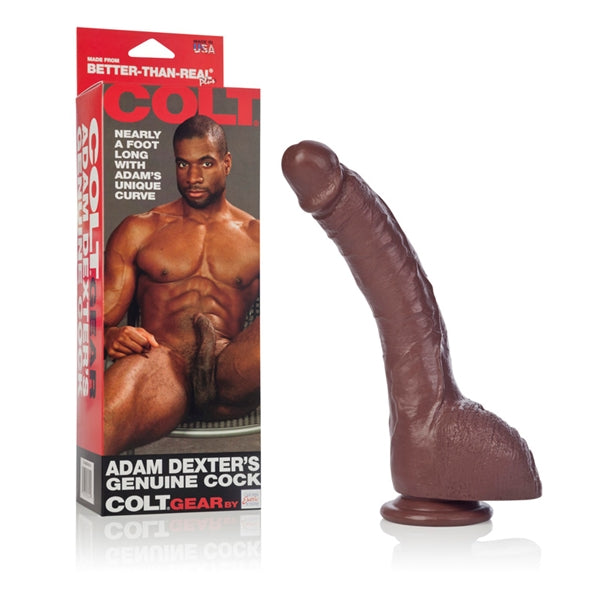Colt Adam Dexter Dong - Dildos Collection | Shop Now Intimates Adult Boutique