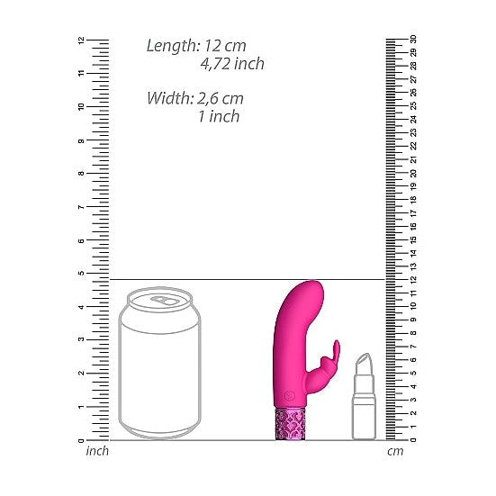 Royal Gems Dazzling Pink Rechargeable Silicone Bullet Intimates Adult Boutique