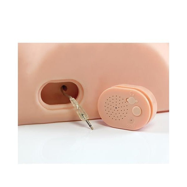 Pdx Male Dirty Talk Fuck Him Silly Interactive Masturbator Intimates Adult Boutique