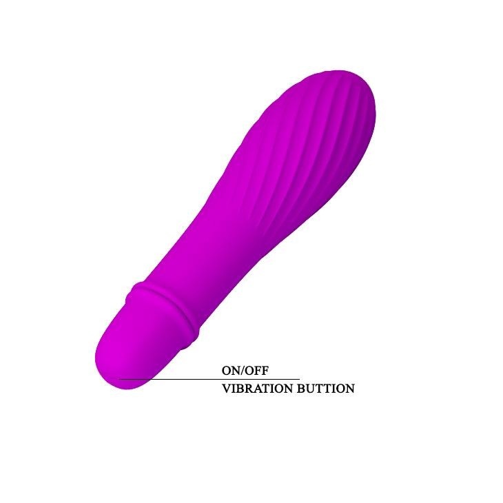 Pretty Love Solomon 10 Function Vibrator Purple Intimates Adult Boutique