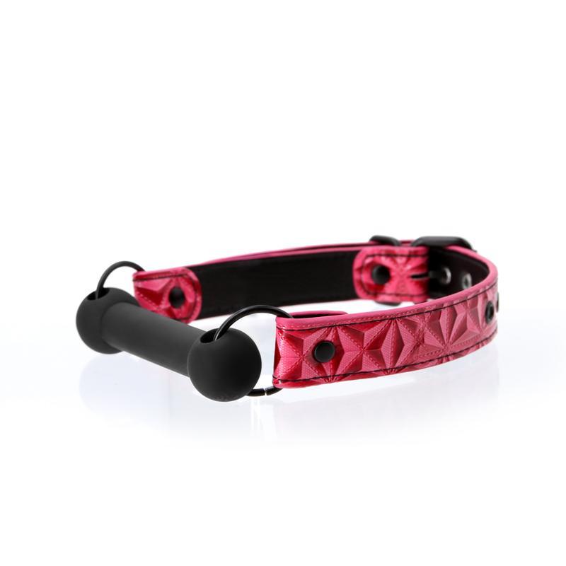 Sinful Bar Gag Pink Intimates Adult Boutique