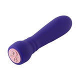 Femme Funn Booster Bullet Purple Intimates Adult Boutique