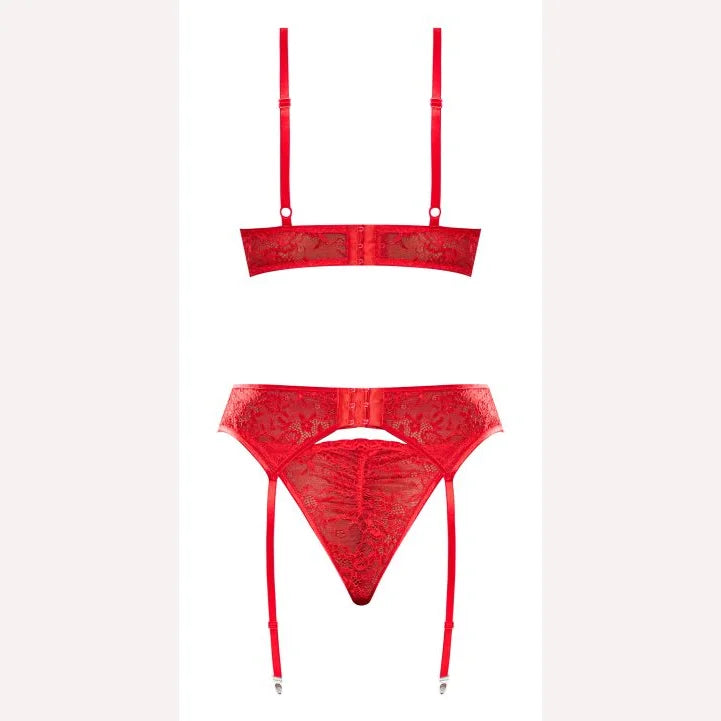 Ooh La Lace Demi Bra Garter & Tanga Red L/xl Intimates Adult Boutique
