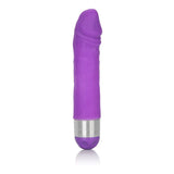 Shanes World Silicone Buddy Purple Vibrator Intimates Adult Boutique