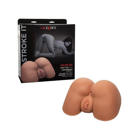 Stroke It Life-size Ass Brown Intimates Adult Boutique
