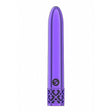 Royal Gems Shiny Purple Abs Bullet Rechargeable Intimates Adult Boutique