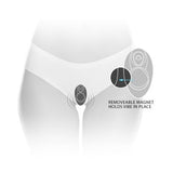 Cloud 9 Panty Pleasures Magnetic Panty Vibe Plum Intimates Adult Boutique