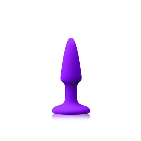 Colours Pleasures Mini Plug Purple Intimates Adult Boutique