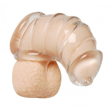 Master Series Detained Chastity Cage Intimates Adult Boutique