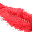 Ostrich Feather Red Intimates Adult Boutique