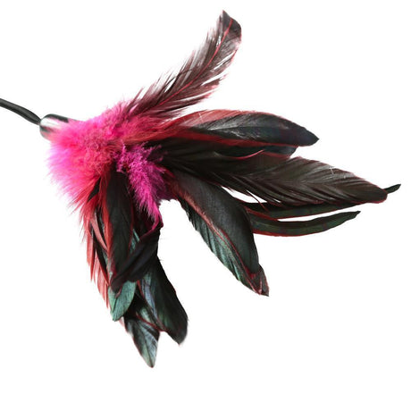 Pleasure Feather Rose(ea) Intimates Adult Boutique