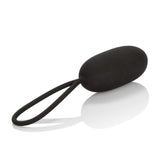 Silicone Remote Rechargeable Egg Intimates Adult Boutique