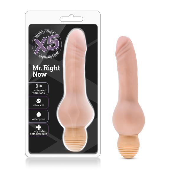 X5 Plus Mr Right Now Beige Vibrating Dildo Intimates Adult Boutique